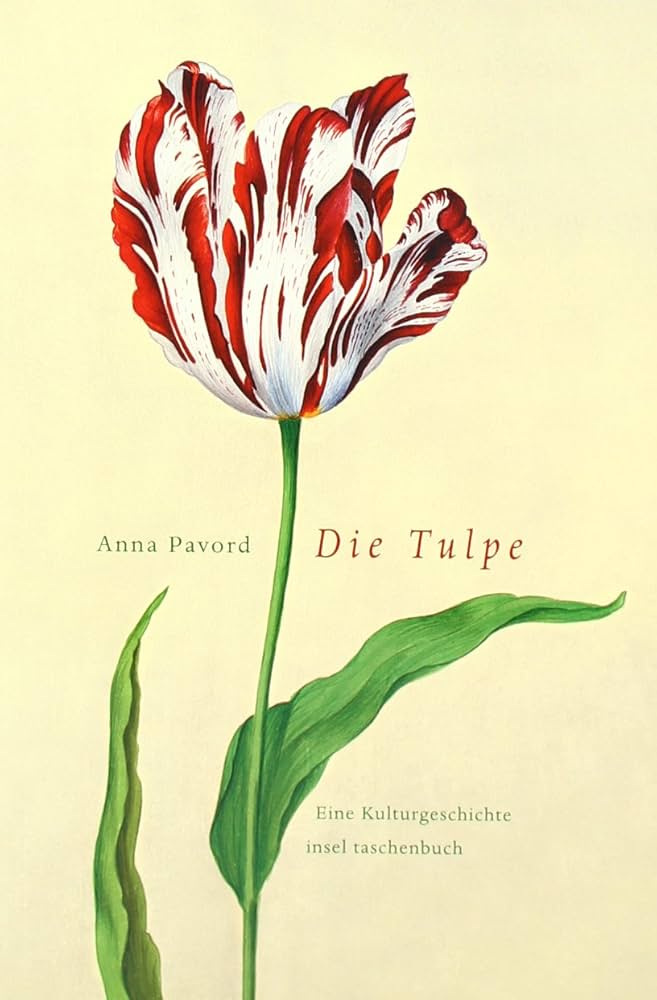 Die Tulpe: Eine Kulturgeschichte : Pavord, Anna, Wollermann