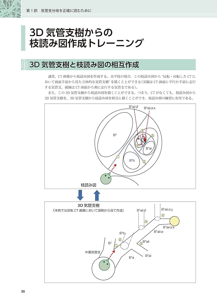 71WH1mRg-1L._AC_UF1000,