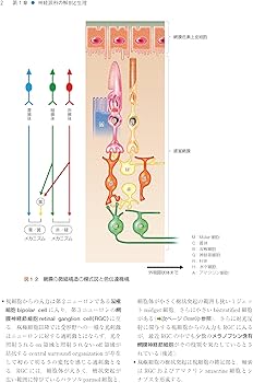 Amazon.co.jp: 神経眼科学を学ぶ人のために 第4版 : 三村 治: Japanese