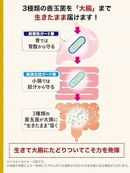 Amazon | ビフィコロン/トリプルアシスト/ビフィズス菌・乳酸菌・酪酸