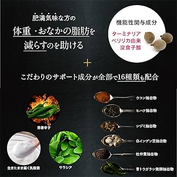 Amazon.co.jp: ターミナリアファースト 4 (機能性表示食品 / 120粒×1袋