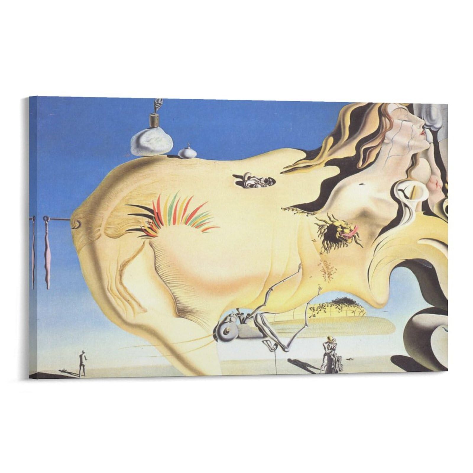 Amazon.co.jp: Salvador Daliサルバドール・ダリ《大自慰者》ポスター