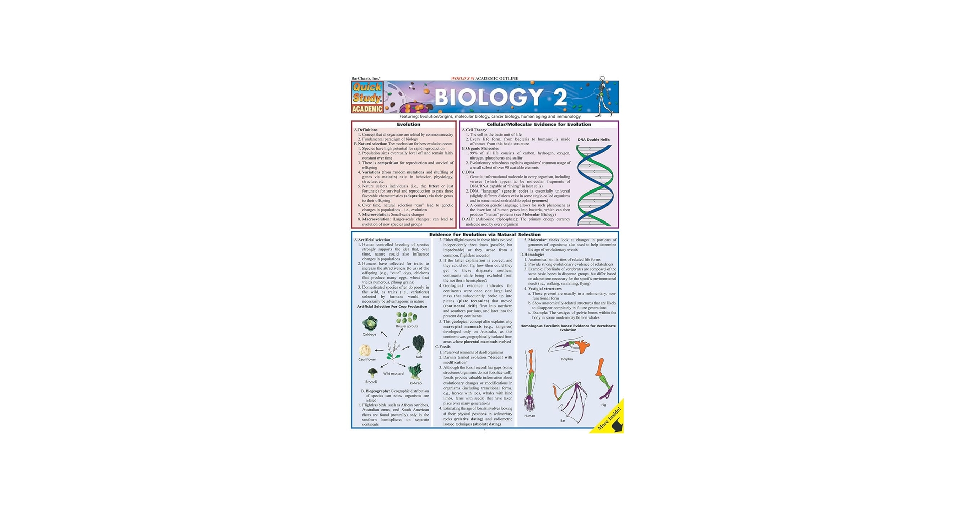 Biology 2 (Quick Study Academic): BarCharts, Inc.: 9781572228269