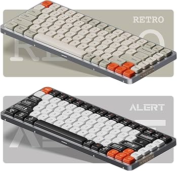 71WhyVGdKyL._AC_UF350,