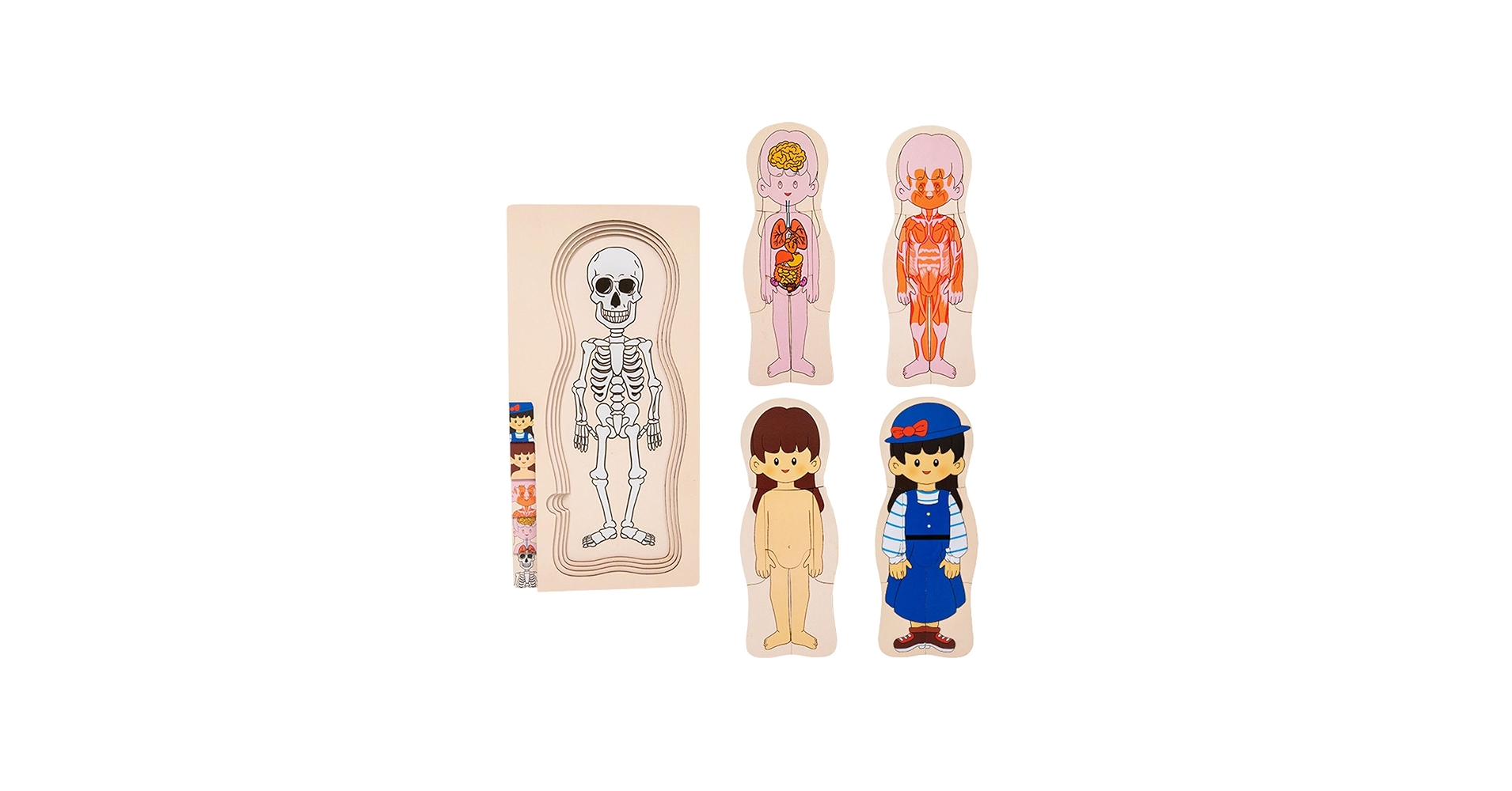 71XAuVylkVL.jpg_BO30,255,255,