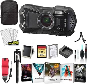 Amazon.com : Ricoh WG-80 Waterproof Digital Camera, 2.7