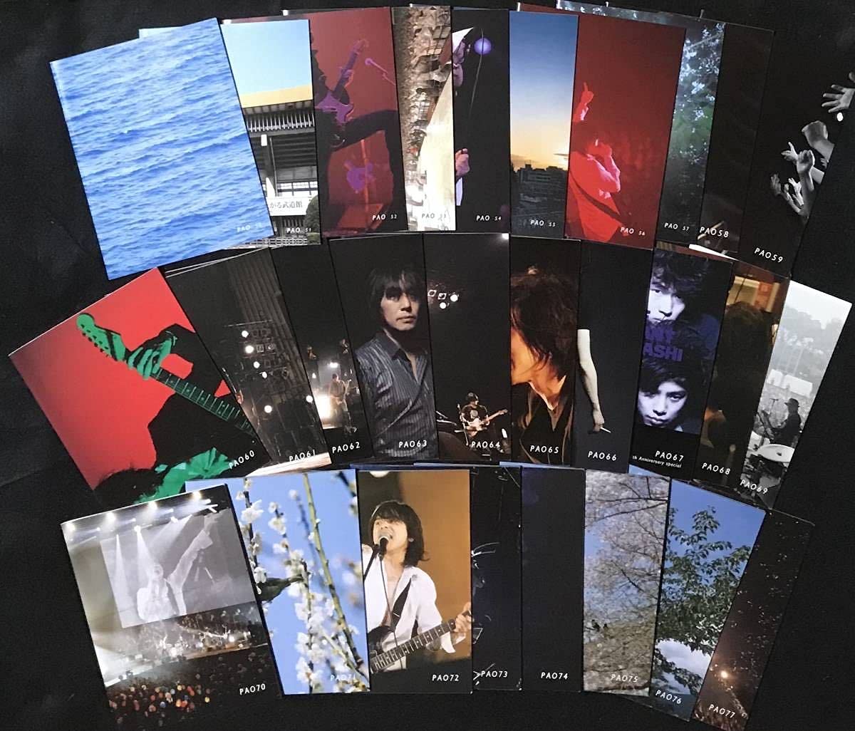 貴重！2冊セット】エレファントカシマシ ファンクラブ 会報 PAO.14 15