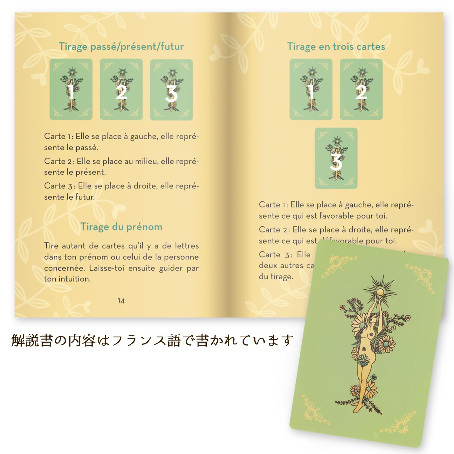 Amazon.co.jp: 【正規品】太陽の娘のオラクル【オラクルカードの意味