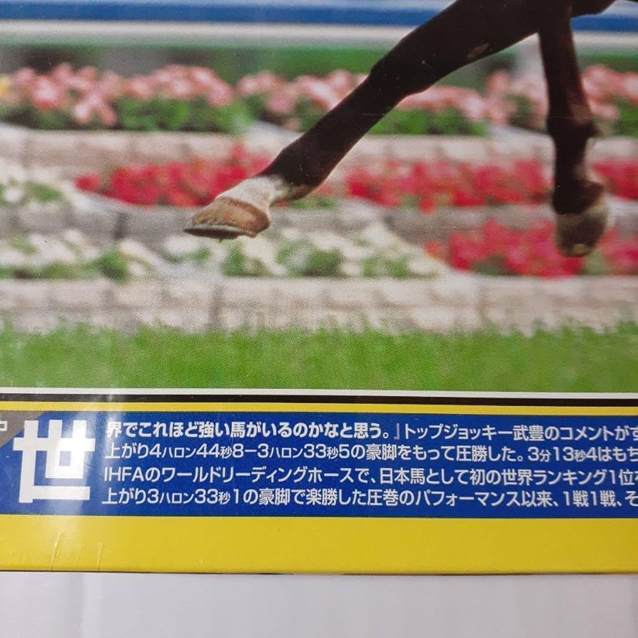 Amazon | 無敗三冠馬 ディープインパクト 1000ピース ジグソーパズル