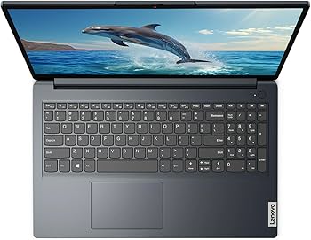 Amazon.com: Lenovo IdeaPad 1 15.6