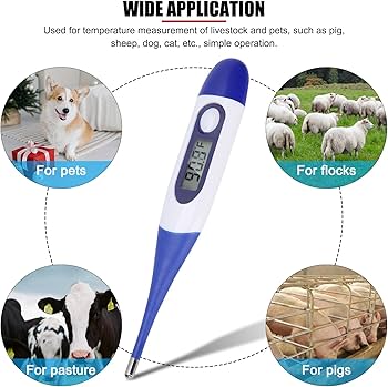 Amazon.co.jp: プロのペット用家畜用体温計、高速デジタル獣医用体温計