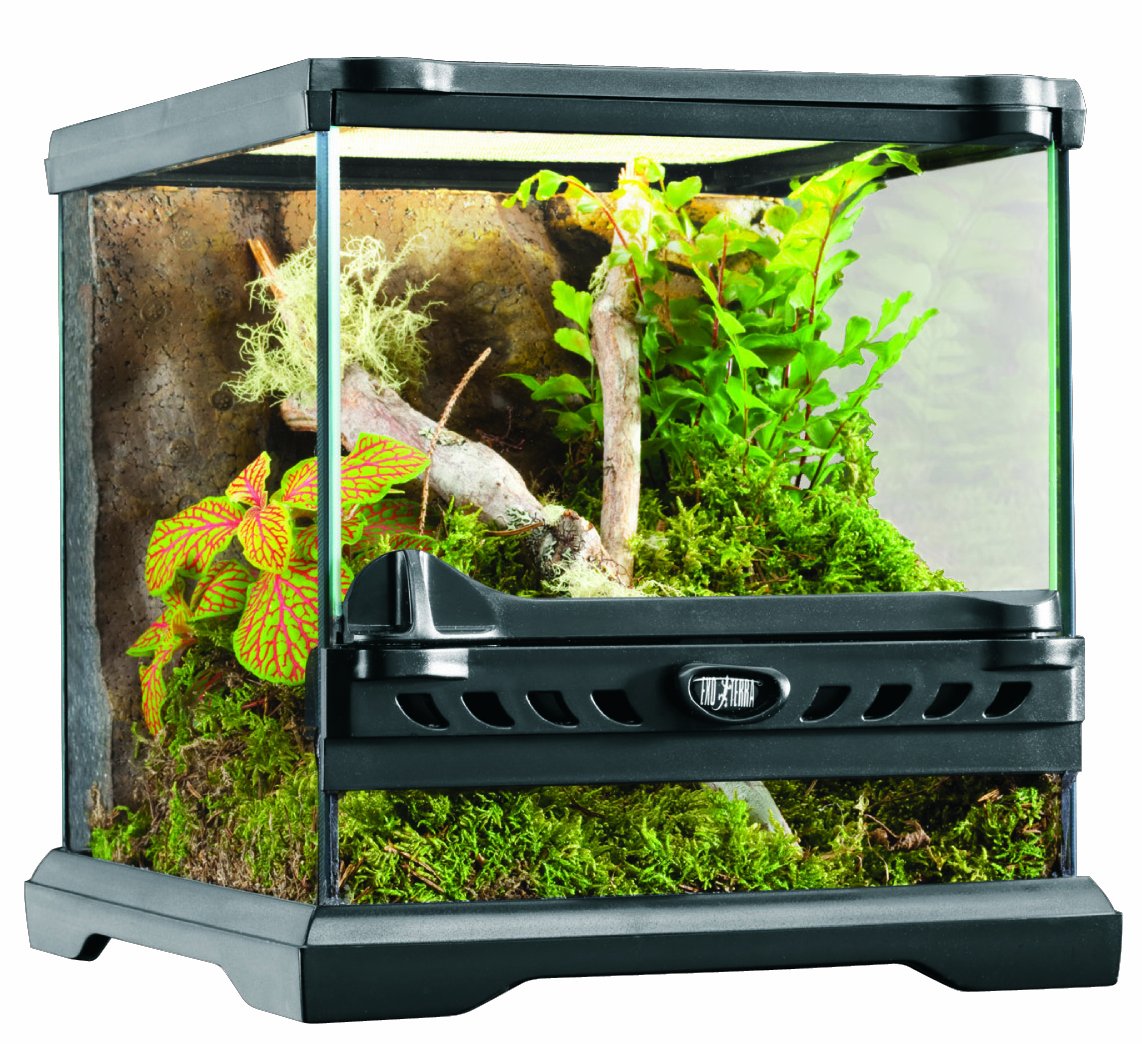 Amazon | GEX EXOTERRA グラステラリウム ナノキューブ PT2599