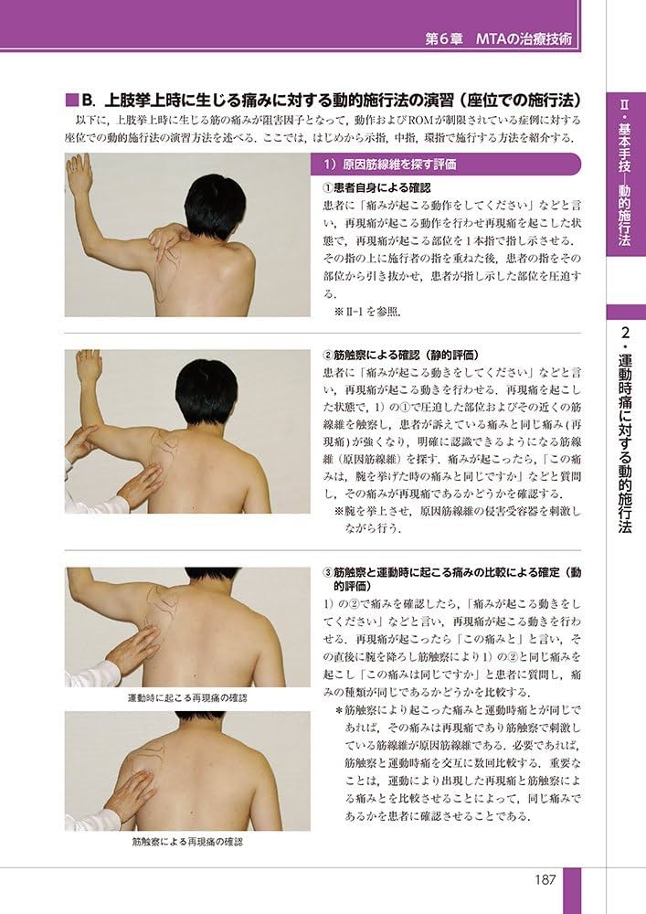 マイオチューニングアプローチ入門 痛みと麻痺に対する治療的手技