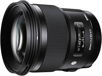 Amazon.com : 50mm F1.4 Art DG HSM for Sony E : Electronics