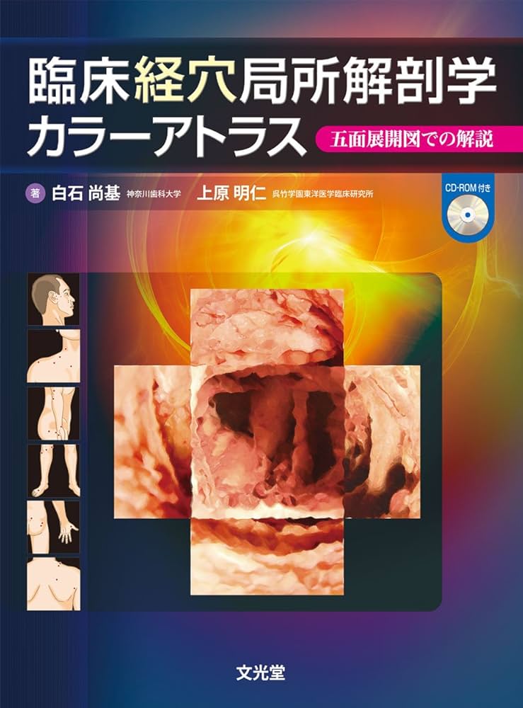 臨床経穴局所解剖学カラーアトラス | 白石 尚基, 上原 明仁 |本 | 通販