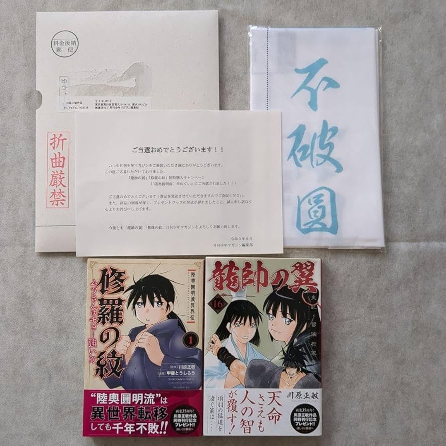 Amazon.co.jp: 陸奥圓明流家系図 修羅の門 修羅の刻 : おもちゃ