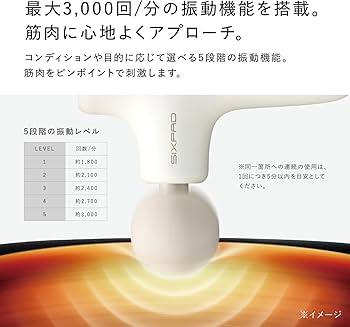 Amazon | 【公式ストア限定】シックスパッド パワーガン アクティブ