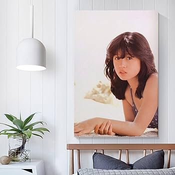 Amazon.co.jp: 中森明菜 なかもり あきな ポスター (23) アートパネル
