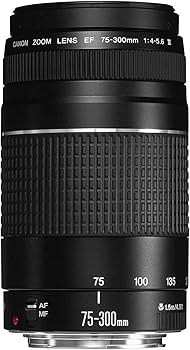 Amazon.com : Canon EF 75-300mm f/4-5.6 III Telephoto Zoom Lens for