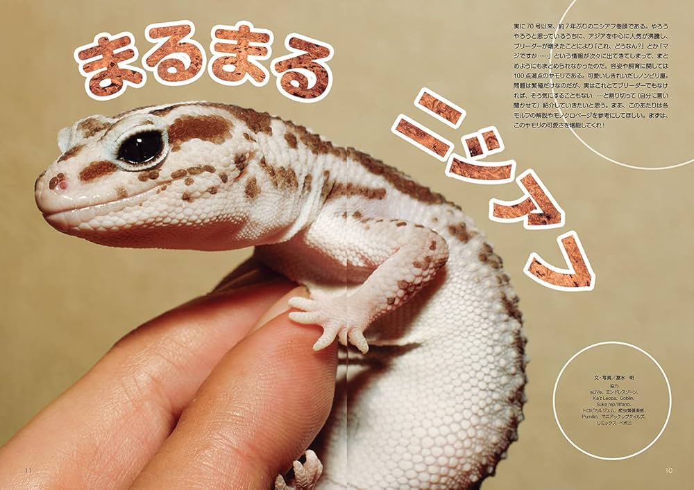 71ZWBrBTzbS._AC_UF1000,