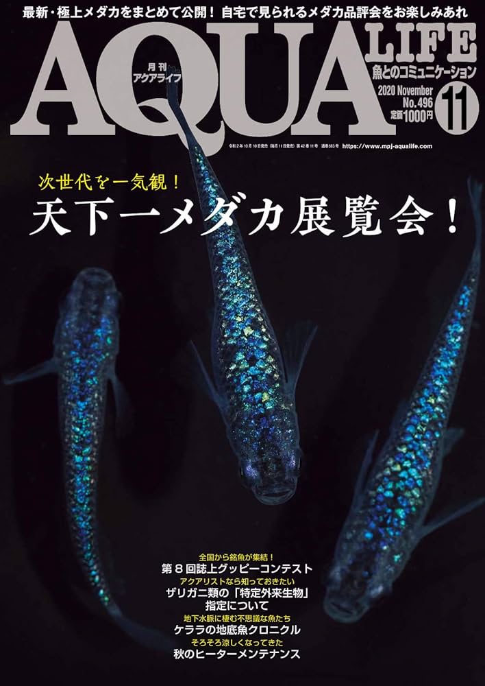 アクアライフ 11月号 (2020-10-17) [雑誌] | エムピージェー | 趣味