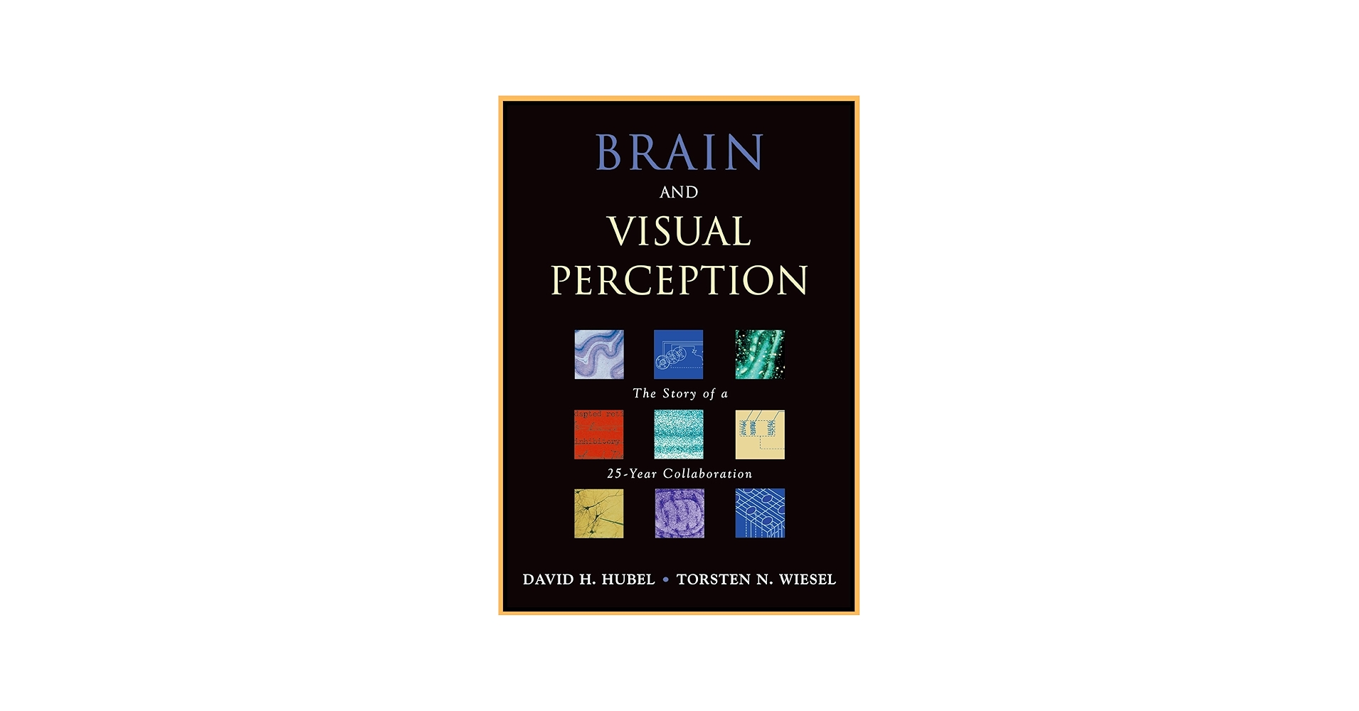 Brain and Visual Perception: The Story of a 25-Year Collaboration
