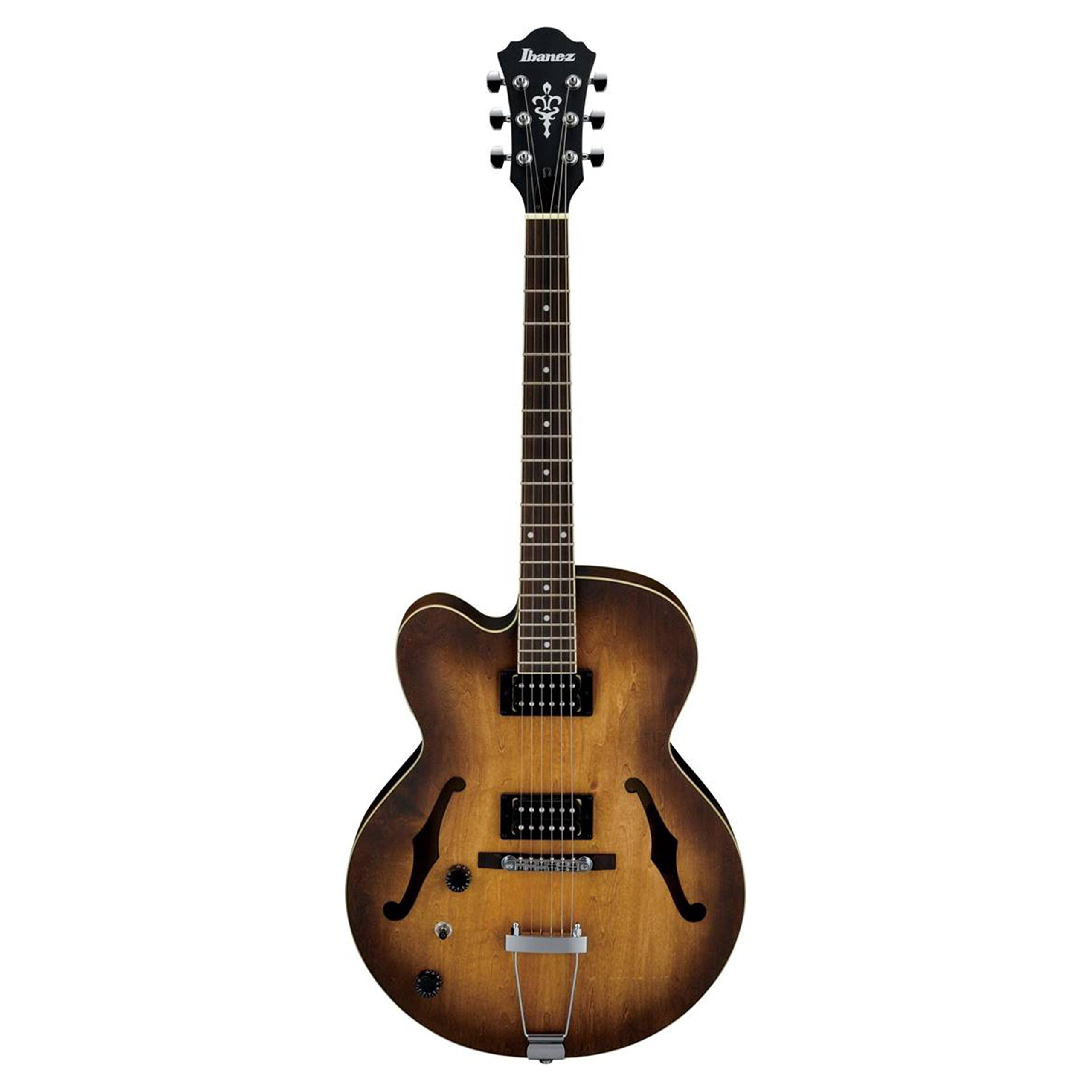 Amazon.com: AF55 Hollow Body Left-Handed Electric Guitar : Musical