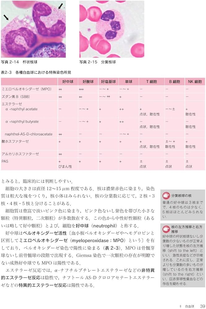 最新臨床検査学講座 血液検査学 第2版 | 奈良 信雄 |本 | 通販 | Amazon