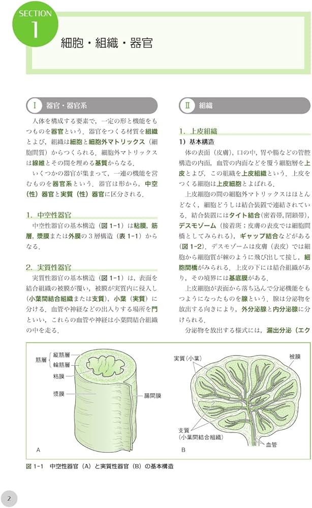 歯科衛生士国家試験ポイントチェック1 人体の構造と機能/歯・口腔の