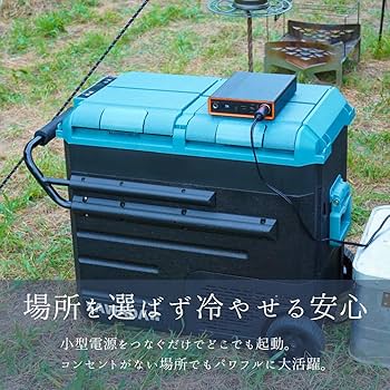 Amazon.co.jp: 沢田テント ポータブル冷蔵庫 冷凍冷蔵庫 40L 車載 2室