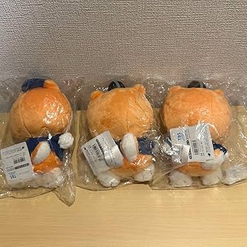 71aRbhYcSuL._AC_UF350,