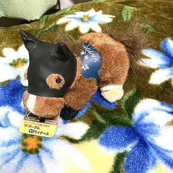 71abhHrddCL._AC_UF350,