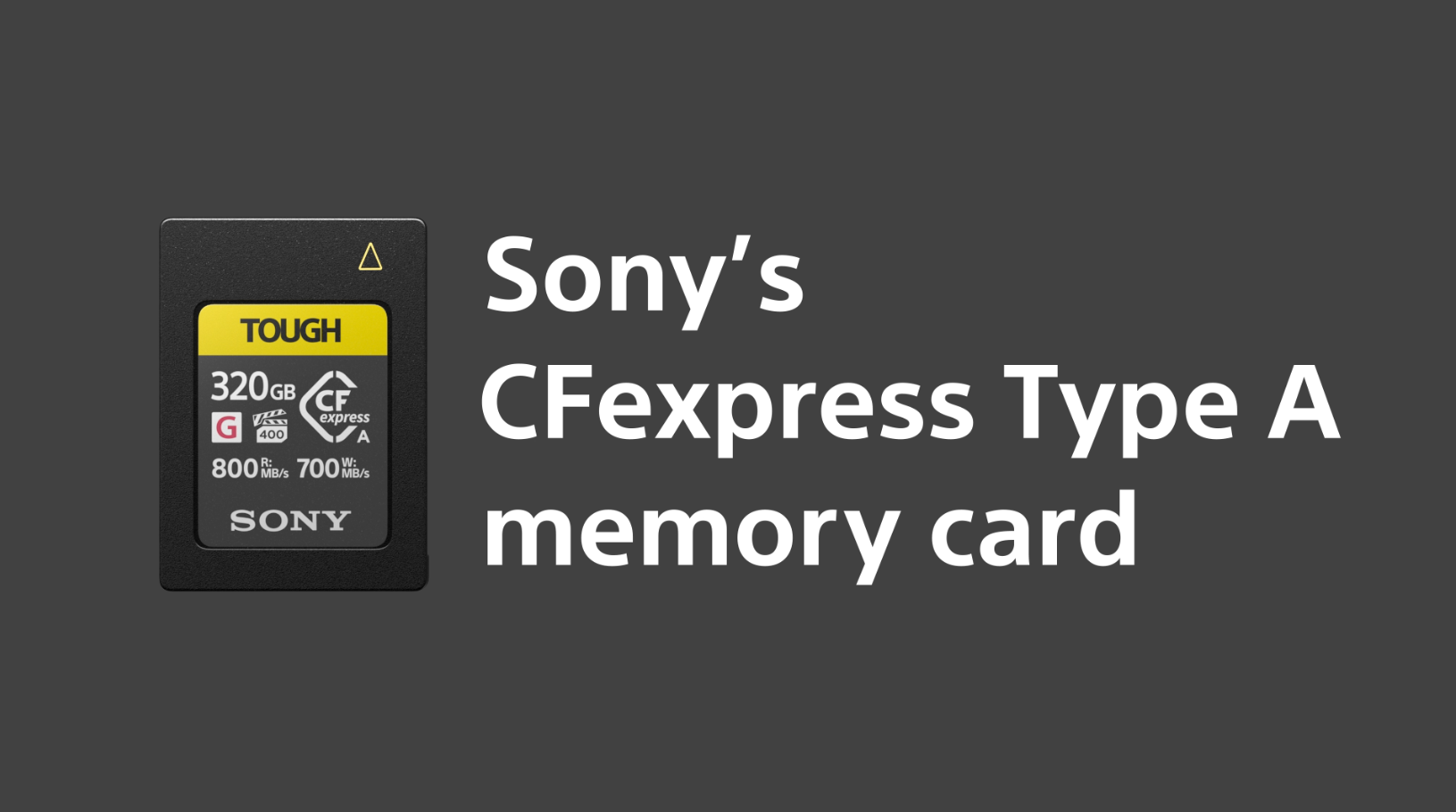Amazon.com: Sony CEA-G80T 80GB CFexpress Type A Memory Card