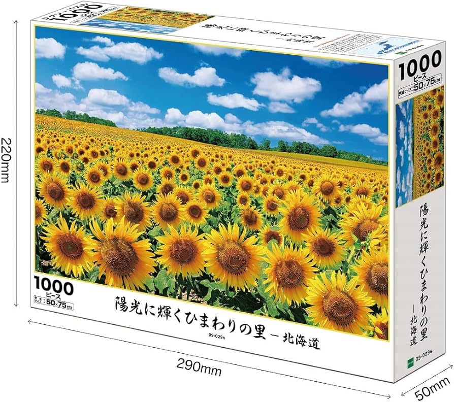 71aif+uAcxL._AC_UF894,