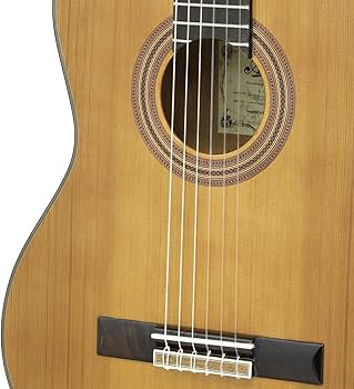 Amazon | ARIA アリア クラッシック ギター エレクトリックカッタ