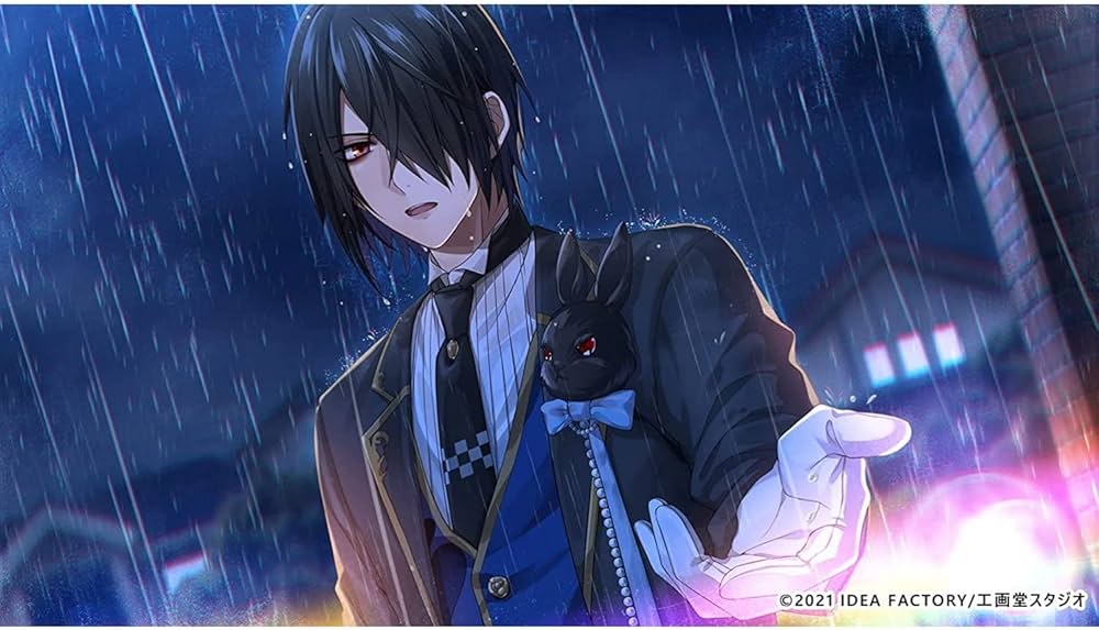 Amazon.co.jp: 白と黒のアリス for Nintendo Switch : ゲーム