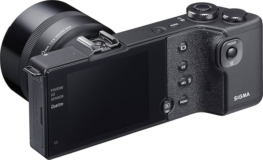 Amazon.com : Sigma DP3 Quattro Compact Digital Camera : Electronics