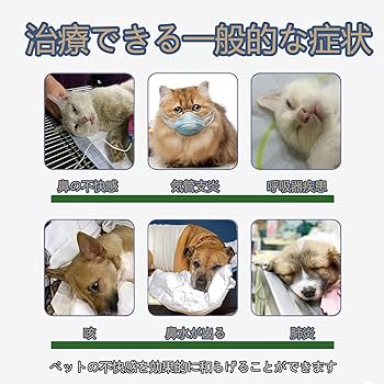 Amazon.co.jp: 酸素室 ペット 、ペット用酸素室 フォールド 酸素