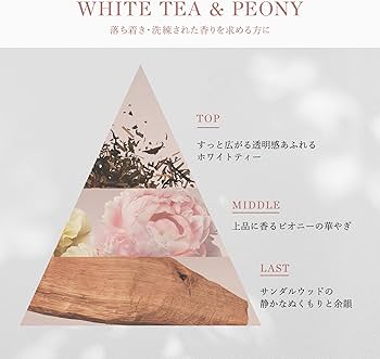 Amazon.co.jp: パンテーン ホワイトティー&ピオニー ファイン