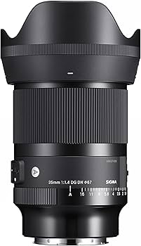 Amazon.com : 35mm F1.4 DG DN for Sony E Mount : Electronics