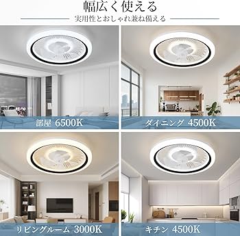 Amazon.co.jp : 「節電対策＆冷暖房活用」シーリングファンライト