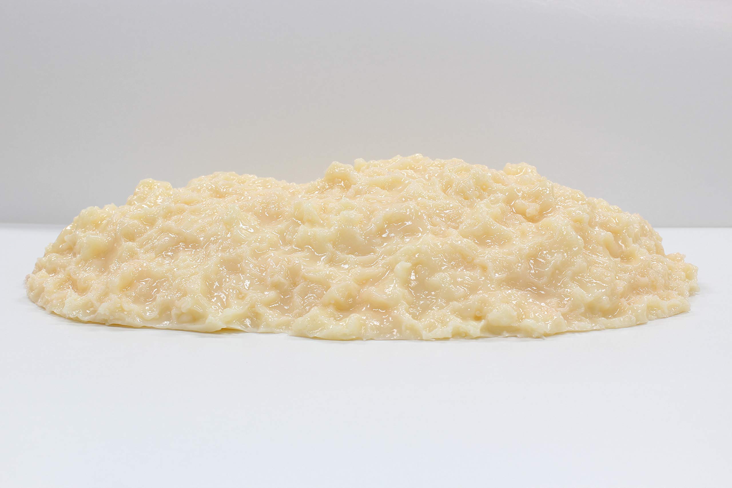 みやさま専用】脂肪模型 2kg 楽天市場】模型 脂肪 2kgの通販