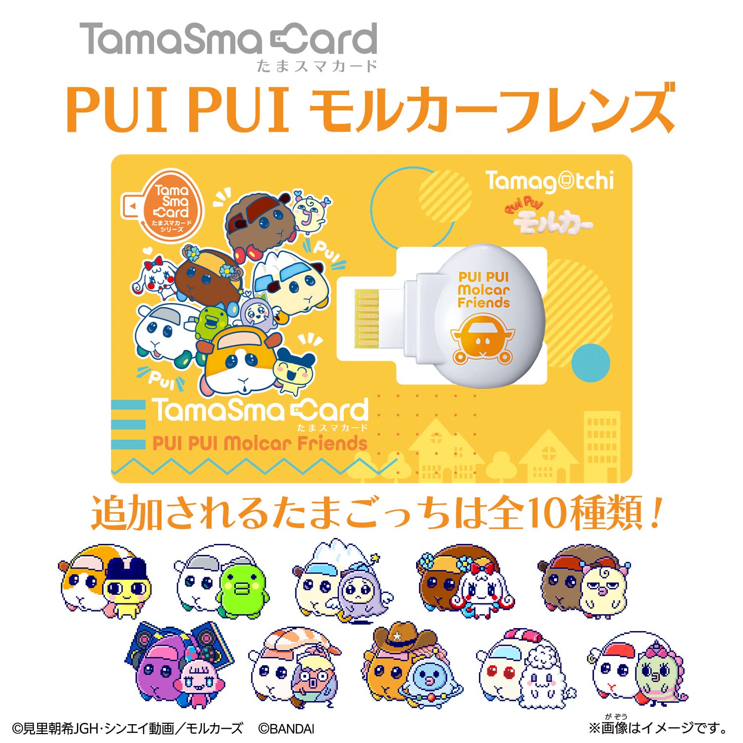 Amazon.co.jp: たまスマカード PUI PUI モルカーフレンズ : おもちゃ