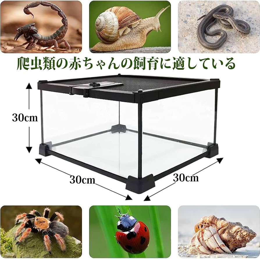 Amazon.co.jp: 爬虫類 ケージ 飼育ケージ 両生類 トカゲ ケージ 爬虫類