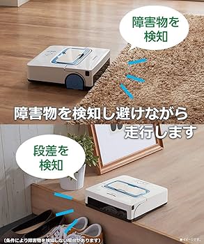 71b2DEP7JVL._AC_UF350,