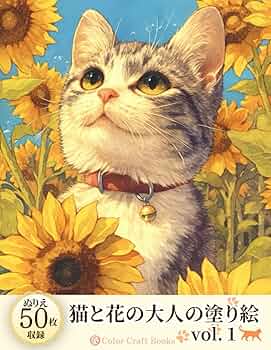 71bhbBy786L._AC_UF350,