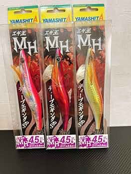 71borkxhTqL._AC_UF350,