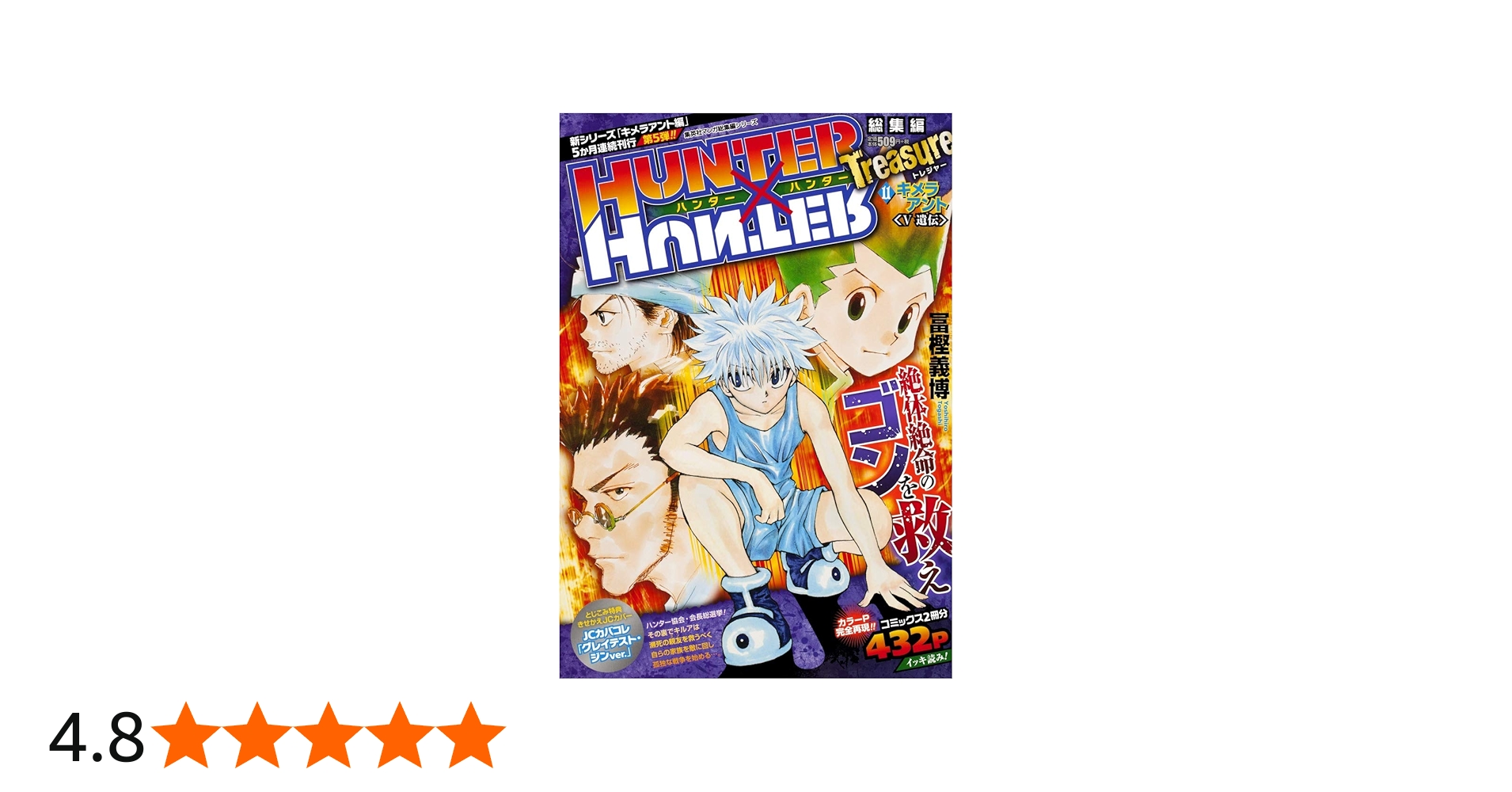 HUNTER×HUNTER総集編 Treasure 11 (集英社マンガ総集編シリーズ