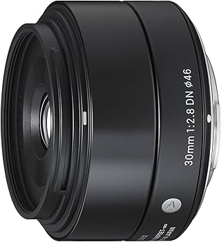Amazon.com : Sigma 30mm F2.8 EX DN Art (Black) for Sony SE