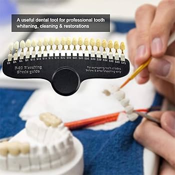 Amazon.co.jp: 歯科シェードガイドプロフェッショナル 3D R-20 歯の